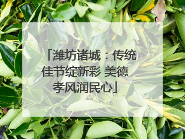 潍坊诸城：传统佳节绽新彩 美德孝风润民心