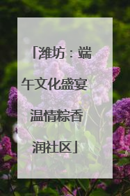 潍坊：端午文化盛宴 温情粽香润社区