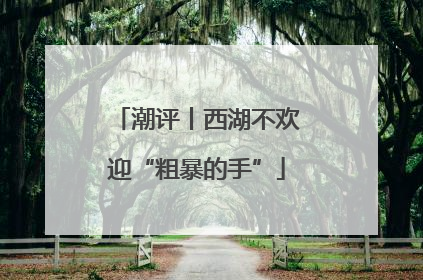 潮评丨西湖不欢迎“粗暴的手”