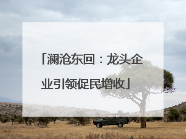 澜沧东回：龙头企业引领促民增收
