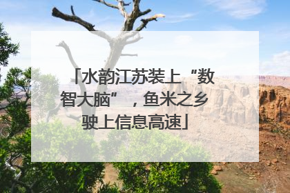 水韵江苏装上“数智大脑”，鱼米之乡驶上信息高速