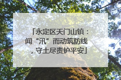 永定区天门山镇：闻“汛”而动筑防线，守土尽责护平安