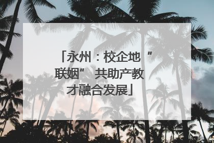 永州：校企地“联姻” 共助产教才融合发展