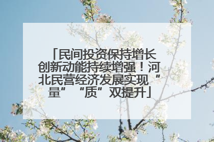民间投资保持增长 创新动能持续增强！河北民营经济发展实现“量”“质”双提升