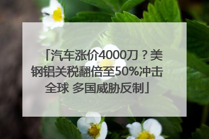 汽车涨价4000刀?美钢铝关税翻倍至50%冲击全球 多国威胁反制
