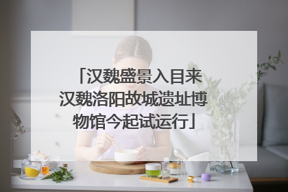 汉魏盛景入目来 汉魏洛阳故城遗址博物馆今起试运行
