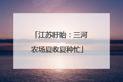 江苏盱眙：三河农场夏收夏种忙