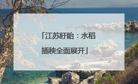 江苏盱眙：水稻插秧全面展开