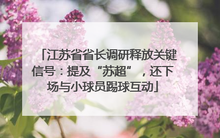 江苏省省长调研释放关键信号：提及“苏超”，还下场与小球员踢球互动