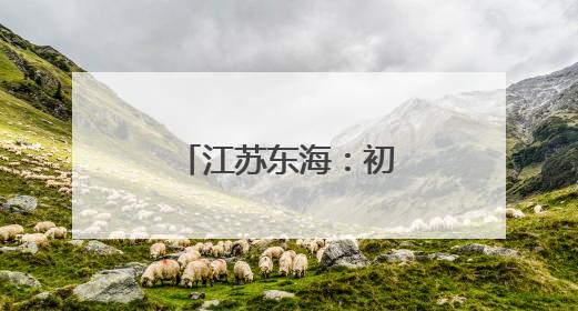 江苏东海：初夏湿地美如画