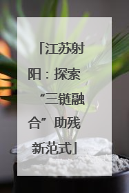 江苏射阳：探索“三链融合”助残新范式