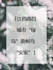 江西南昌：城市“绿岛”助候鸟“安家”