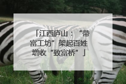 江西庐山：“带富工坊”架起百姓增收“致富桥”