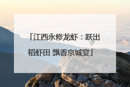 江西永修龙虾：跃出稻虾田 飘香京城宴