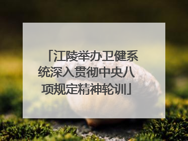 江陵举办卫健系统深入贯彻中央八项规定精神轮训