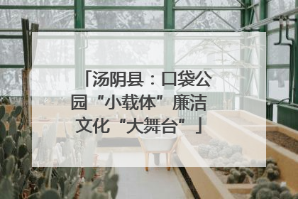 汤阴县：口袋公园“小载体”廉洁文化“大舞台”