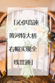 沁伊高速黄河特大桥右幅实现全线贯通