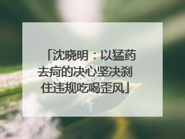 沈晓明：以猛药去疴的决心坚决刹住违规吃喝歪风