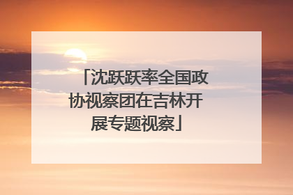 沈跃跃率全国政协视察团在吉林开展专题视察