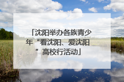 沈阳举办各族青少年“看沈阳、爱沈阳”高校行活动