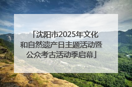 沈阳市2025年文化和自然遗产日主题活动暨公众考古活动季启幕