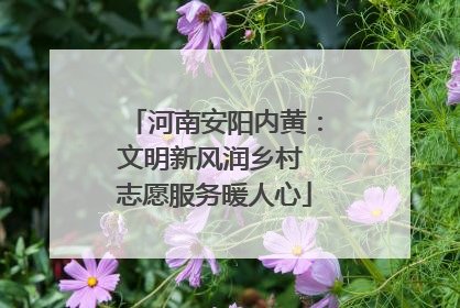 河南安阳内黄：文明新风润乡村 志愿服务暖人心
