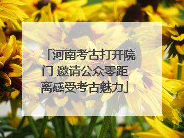 河南考古打开院门 邀请公众零距离感受考古魅力