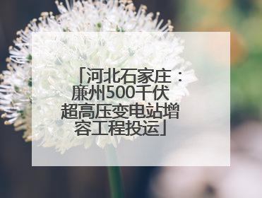 河北石家庄：廉州500千伏超高压变电站增容工程投运