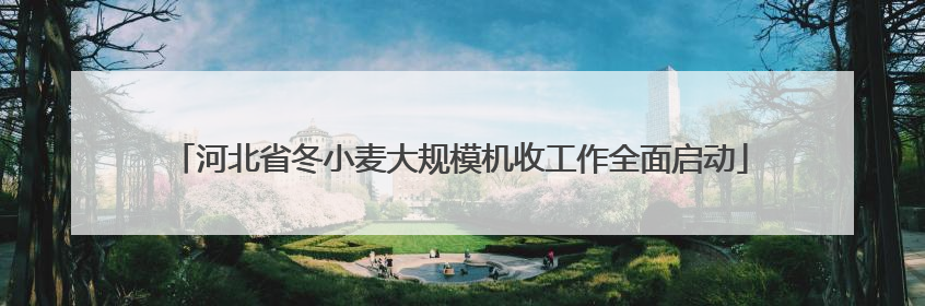 河北省冬小麦大规模机收工作全面启动