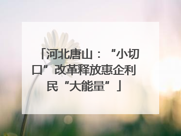 河北唐山：“小切口”改革释放惠企利民“大能量”