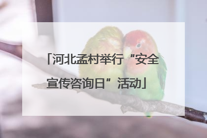 河北孟村举行“安全宣传咨询日”活动