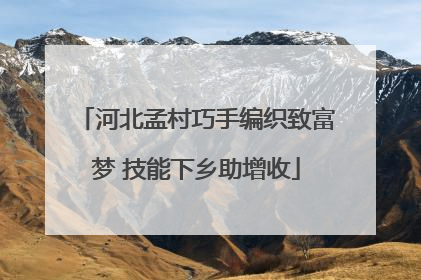 河北孟村巧手编织致富梦 技能下乡助增收