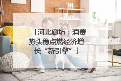 河北廊坊：消费势头稳点燃经济增长“新引擎”