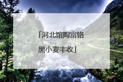 河北馆陶富铬黑小麦丰收