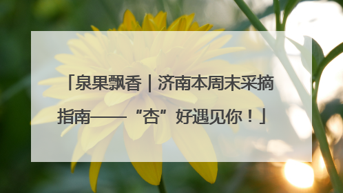 泉果飘香｜济南本周末采摘指南——“杏”好遇见你！