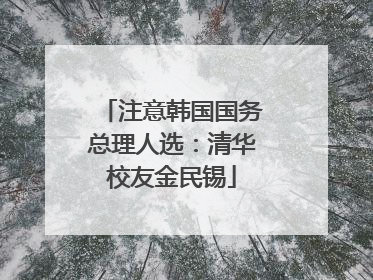 注意韩国国务总理人选：清华校友金民锡