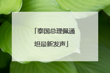 泰国总理佩通坦最新发声