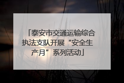 泰安市交通运输综合执法支队开展“安全生产月”系列活动