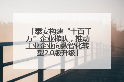 泰安构建“十百千万”企业梯队，推动工业企业向数智化转型2.0版升级