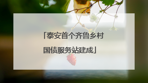 泰安首个齐鲁乡村国债服务站建成