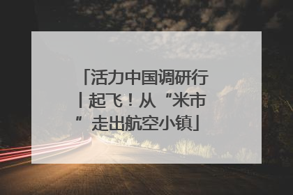 活力中国调研行丨起飞！从“米市”走出航空小镇