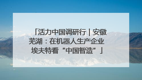 活力中国调研行｜安徽芜湖：在机器人生产企业埃夫特看“中国智造”