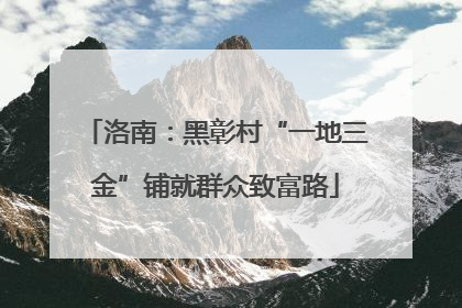 洛南：黑彰村“一地三金”铺就群众致富路