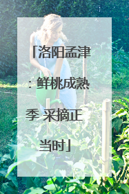 洛阳孟津：鲜桃成熟季 采摘正当时