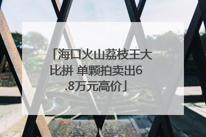 海口火山荔枝王大比拼 单颗拍卖出6.8万元高价
