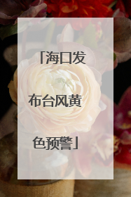 海口发布台风黄色预警