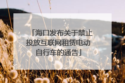 海口发布关于禁止投放互联网租赁电动自行车的通告