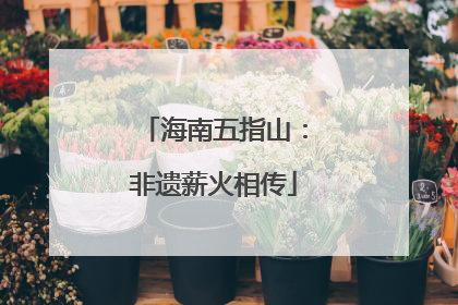 海南五指山：非遗薪火相传
