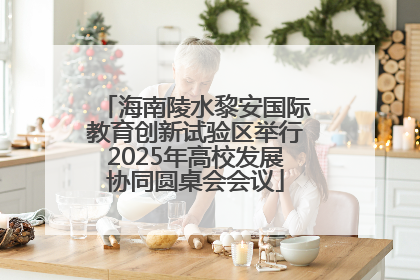 海南陵水黎安国际教育创新试验区举行2025年高校发展协同圆桌会会议