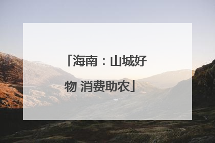 海南：山城好物 消费助农